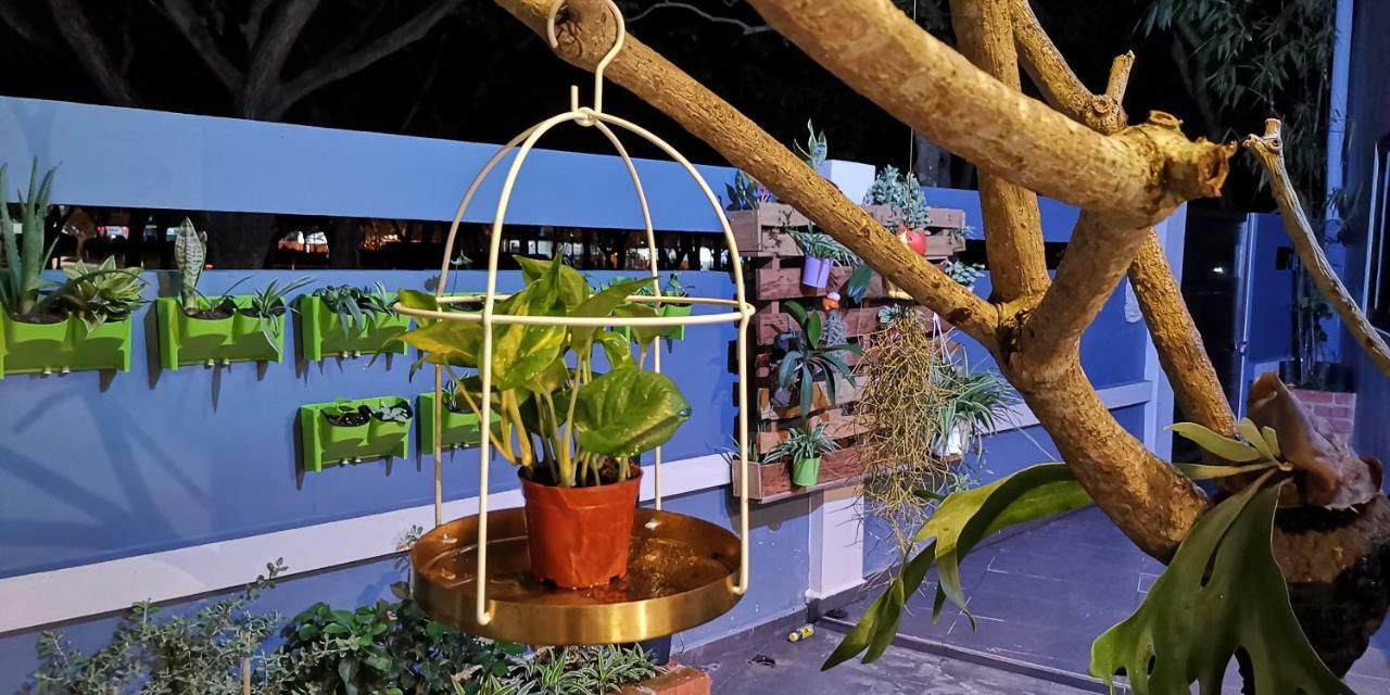 Oneriimba Private Pool & Garden Residence Джохор Бахру Екстериор снимка